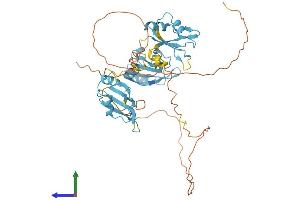 AlphaFold protein structure predicition of Human Recombinant HNRNPH2 Protein, UniprotID P55795
