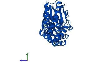 Protein Structure (PS) image for O-Sialoglycoprotein Endopeptidase (OSGEP) (AA 1-335) protein (His tag) (ABIN7550264)