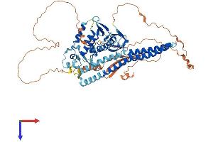 AlphaFold protein structure predicition of Human Recombinant SNX18 Protein, UniprotID Q96RF0 (SNX18 Protein (AA 1-628) (His tag))