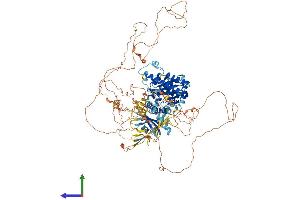AlphaFold protein structure predicition of Human Recombinant FNIP2 Protein, UniprotID Q9P278