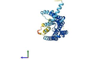 AlphaFold protein structure predicition of Human Recombinant OR5B3 Protein, UniprotID Q8NH48 (OR5B3 Protein (AA 1-314) (His tag))