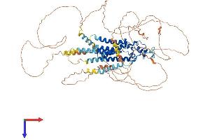 Lipid Phosphate Phosphatase-Related Protein Type 4 (LPPR4) (AA 1-763) protein (His tag)