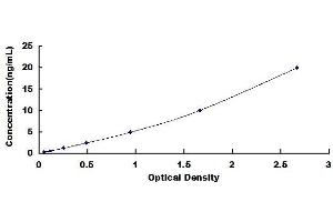 Typical standard curve (SMAD4 ELISA Kit)