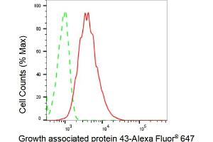 Flow cytometric analysis of Growth associated protein 43 expression in HAP-1 cells using Growth associated protein 43 antibody (ABIN7798804), 1:2,000). (Recombinant GAP43 antibody)