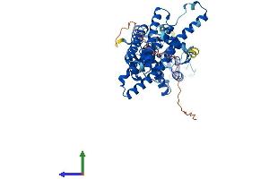 AlphaFold protein structure predicition of Mouse Recombinant Arih2 Protein, UniprotID Q9Z1K6 (ARIH2 Protein (AA 1-492) (His tag))