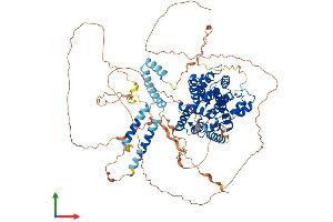 Protein Structure (PS) image for phosphodiesterase 4A, CAMP-Specific (PDE4A) (AA 1-844) protein (His tag) (ABIN7562708)