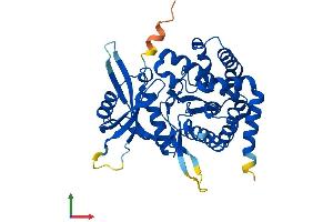 Protein Structure (PS) image for Aminoglycoside phosphotransferase Domain Containing 1 (AGPHD1) (AA 1-376) protein (His tag) (ABIN7557566)