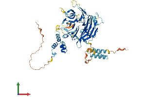 AlphaFold protein structure predicition of Human Recombinant FBXO24 Protein, UniprotID O75426