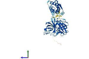 AlphaFold protein structure predicition of Human Recombinant TMPRSS11F Protein, UniprotID Q6ZWK6 (TMPRSS11F Protein (AA 1-438) (His tag))