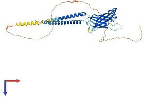 AlphaFold protein structure predicition of Human Recombinant BSCL2 Protein, UniprotID Q96G97 (BSCL2 Protein (AA 1-398) (His tag))