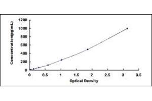 Typical standard curve (HMGB1 ELISA Kit)