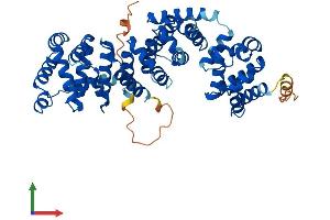Protein Structure (PS) image for ATPase, H+ Transporting, Lysosomal 50/57kDa, V1 Subunit H (ATP6V1H) (AA 1-483) protein (His tag) (ABIN7545046)