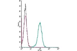 Cell surface detection of AGTR1 by indirect flow cytometry in live intact human  monocytic leukemia cells: + goat-anti-rabbit-FITC.