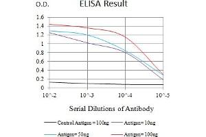 Black line: Control Antigen (100 ng),Purple line: Antigen (10 ng), Blue line: Antigen (50 ng), Red line:Antigen (100 ng) (CLEC7A antibody  (AA 66-247))