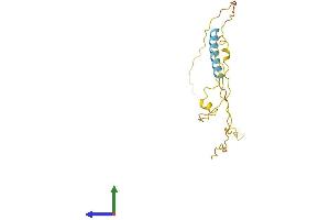 Protein Structure (PS) image for Transcription Elongation Factor A (SII)-Like 5 (TCEAL5) (AA 1-200) protein (His tag) (ABIN7559251)