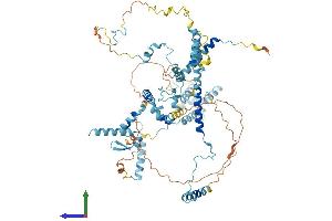 AlphaFold protein structure predicition of Mouse Recombinant Kri1 Protein, UniprotID Q8VDQ9 (KRI1 Protein (AA 1-704) (His tag))