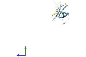 AlphaFold protein structure predicition of Mouse Recombinant Rnf40 Protein, UniprotID Q3U319 (RNF40 Protein (AA 1-1001) (His tag))