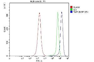 anti-Peptidase (Mitochondrial Processing) beta (PMPCB) (AA 23-479) antibody