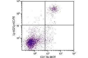 BALB/c mouse splenocytes were stained with Rat Anti-Mouse CD11b-BIOT. (CD11b antibody  (Biotin))