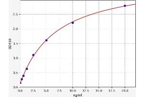 Typical standard curve (PHF1 ELISA Kit)