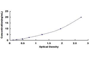 Cystatin A (Stefin A) (CSTA) ELISA Kit
