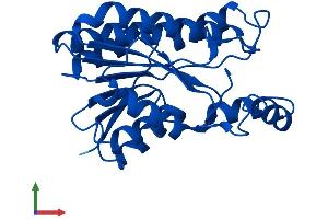 AlphaFold protein structure predicition of Mouse Recombinant Bdh2 Protein, UniprotID Q8JZV9