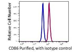 Flow Cytometry (FACS) image for anti-CD86 (CD86) antibody (ABIN5067874) (CD86 antibody)