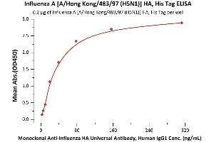 Immobilized Influenza A [A/Hong Kong/483/97 (H5N1)] HA, His Tag (ABIN2870842,ABIN2870843) at 2 μg/mL (100 μL/well) can bind Aenza HA MAb CM2S3 with a linear range of 0. (Hemagglutinin Protein (HA) (AA 17-531) (His tag))
