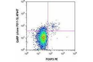 Flow Cytometry (FACS) image for anti-Leucine Rich Repeat Containing 32 (LRRC32) antibody (Alexa Fluor 647) (ABIN2657200) (LRRC32 antibody  (Alexa Fluor 647))