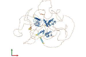 Protein Structure (PS) image for SAM and SH3 Domain Containing 1 (SASH1) (AA 1-1230) protein (His tag) (ABIN7563485)