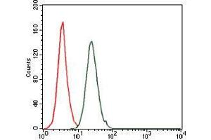 Flow cytometric analysis of HeLa cells using FOS mouse mAb (green) and negative control (red). (c-FOS antibody)