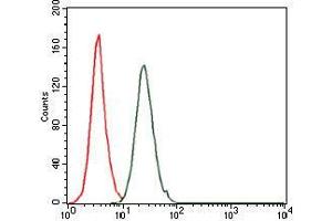 Flow cytometric analysis of HeLa cells using FOS mouse mAb (green) and negative control (red).