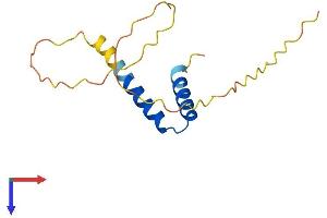 Protein Structure (PS) image for Chromosome Y Open Reading Frame 15B (CYorf15B) (AA 1-131) protein (His tag) (ABIN7544824)