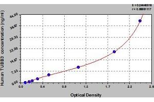 TUBB3 ELISA Kit