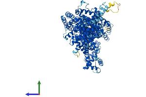AlphaFold protein structure predicition of Human Recombinant NCKAP1L Protein, UniprotID P55160 (NCKAP1L Protein (AA 1-1127) (His tag))