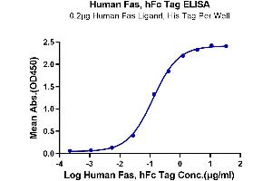 ELISA image for TNF Receptor Superfamily, Member 6 (FAS) (AA 26-173) protein (Fc Tag) (ABIN7274589)