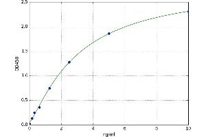 A typical standard curve