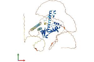AlphaFold protein structure predicition of Human Recombinant CSRNP2 Protein, UniprotID Q9H175