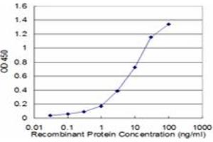 Detection limit for recombinant GST tagged PPM1D is approximately 0. (PPM1D antibody  (AA 496-605))