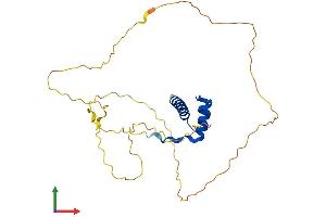 Protein Structure (PS) image for Homeobox D12 (HOXD12) (AA 1-270) protein (His tag) (ABIN7548464)