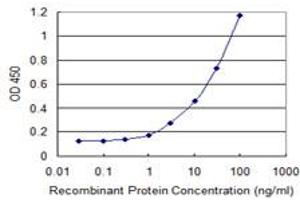 Detection limit for recombinant GST tagged PWP1 is 0. (PWP1 antibody  (AA 1-501))