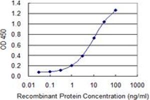 Detection limit for recombinant GST tagged CACNA2D2 is 0. (CACNA2D2 antibody  (AA 65-162))