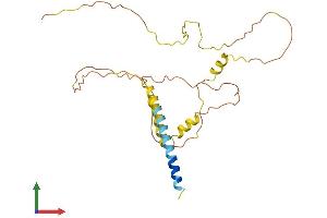 AlphaFold protein structure predicition of Mouse Recombinant Syndig1 Protein, UniprotID A2ANU3
