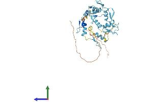 Protein Structure (PS) image for General Transcription Factor IIIA (GTF3A) (AA 1-365) protein (His tag) (ABIN7544310)