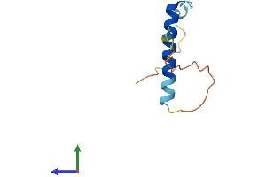 AlphaFold protein structure predicition of Human Recombinant NRGN Protein, UniprotID Q92686