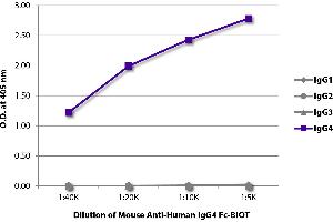 ELISA plate was coated with purified human IgG1, IgG2, IgG3, and IgG4. (Mouse anti-Human IgG4 (Fc Region) Antibody (Biotin))