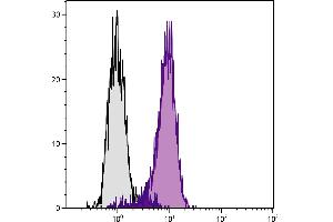 Human histiocytic lymphoma cell line U-937 was stained with Mouse Anti-Human CD71-FITC. (Transferrin Receptor antibody  (SPRD))