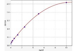Typical standard curve (Beclin 1 ELISA Kit)