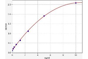 Beclin 1 ELISA Kit