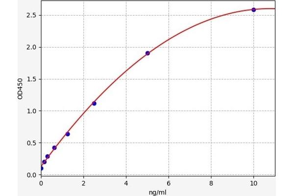 Beclin 1 ELISA Kit